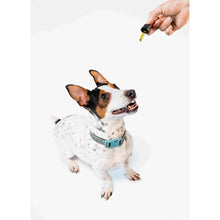 Carica l&#39;immagine nel visualizzatore di Gallery, CBD PET 6% – Olio di Fegato di Merluzzo (10 ml)-Plant For Pets-Veganja Shop
