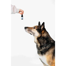 Carica l&#39;immagine nel visualizzatore di Gallery, CBD PET 6% – Olio di Fegato di Merluzzo (10 ml)-Plant For Pets-Veganja Shop
