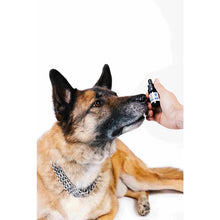 Carica l&#39;immagine nel visualizzatore di Gallery, CBD PET 6% – Olio di Fegato di Merluzzo (10 ml)-Plant For Pets-Veganja Shop
