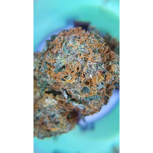 Carica l&#39;immagine nel visualizzatore di Gallery, ROYAL COOKIES – Indoor – (Organic Quality CBD)-Veganja Smoke-Veganja Shop
