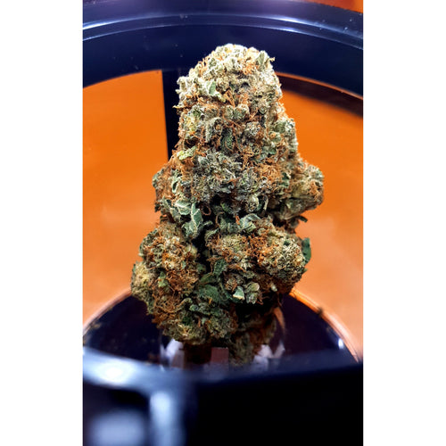 ROYAL COOKIES – Indoor – (Organic Quality CBD)-Veganja Smoke-Veganja Shop