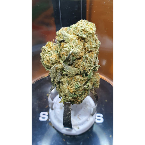 MANGO KUSH – Indoor – (Organic Quality CBD)-Veganja Smoke-Veganja Shop