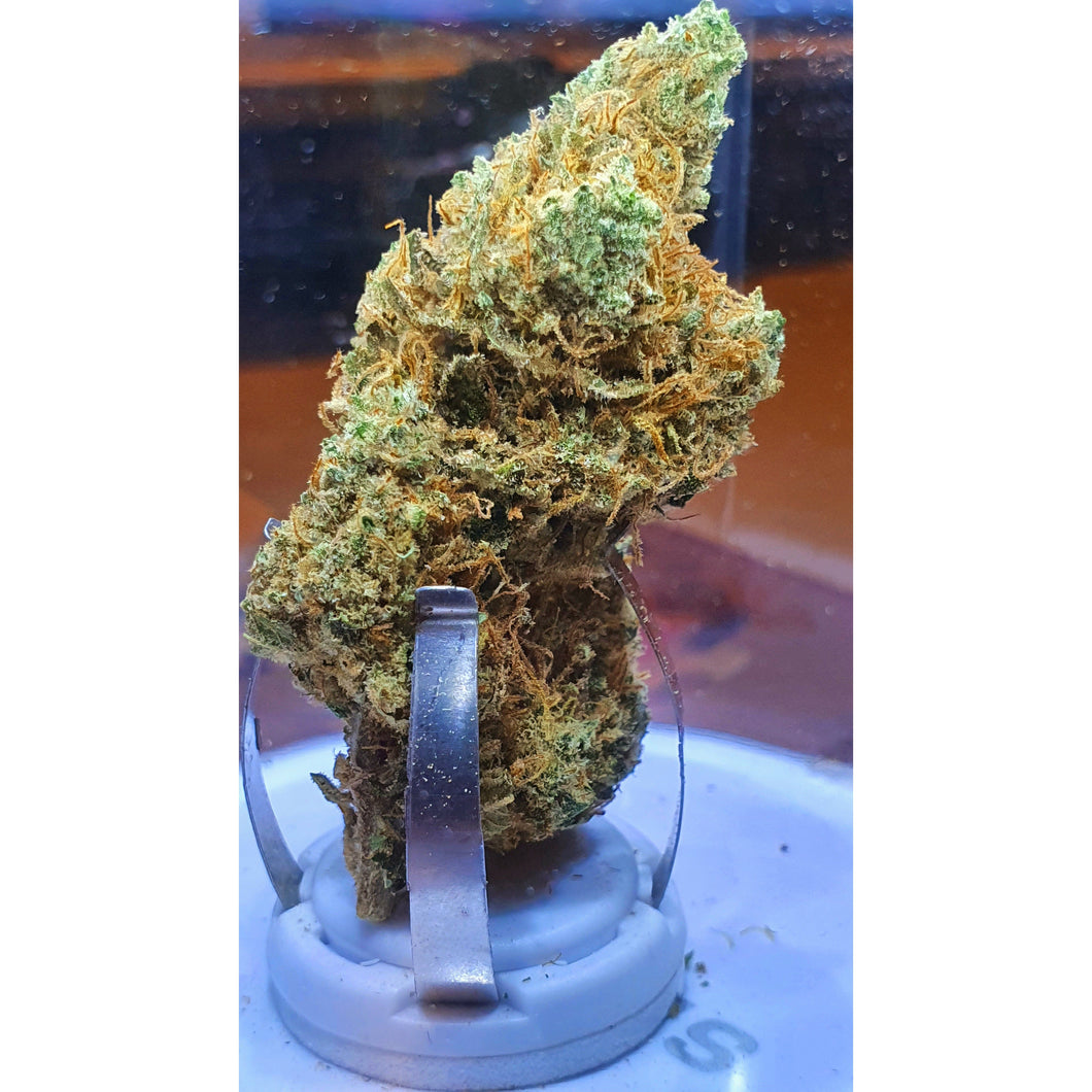 SUNSHINE – Idroponica – (Top Quality CBD)-Veganja Smoke-Veganja Shop