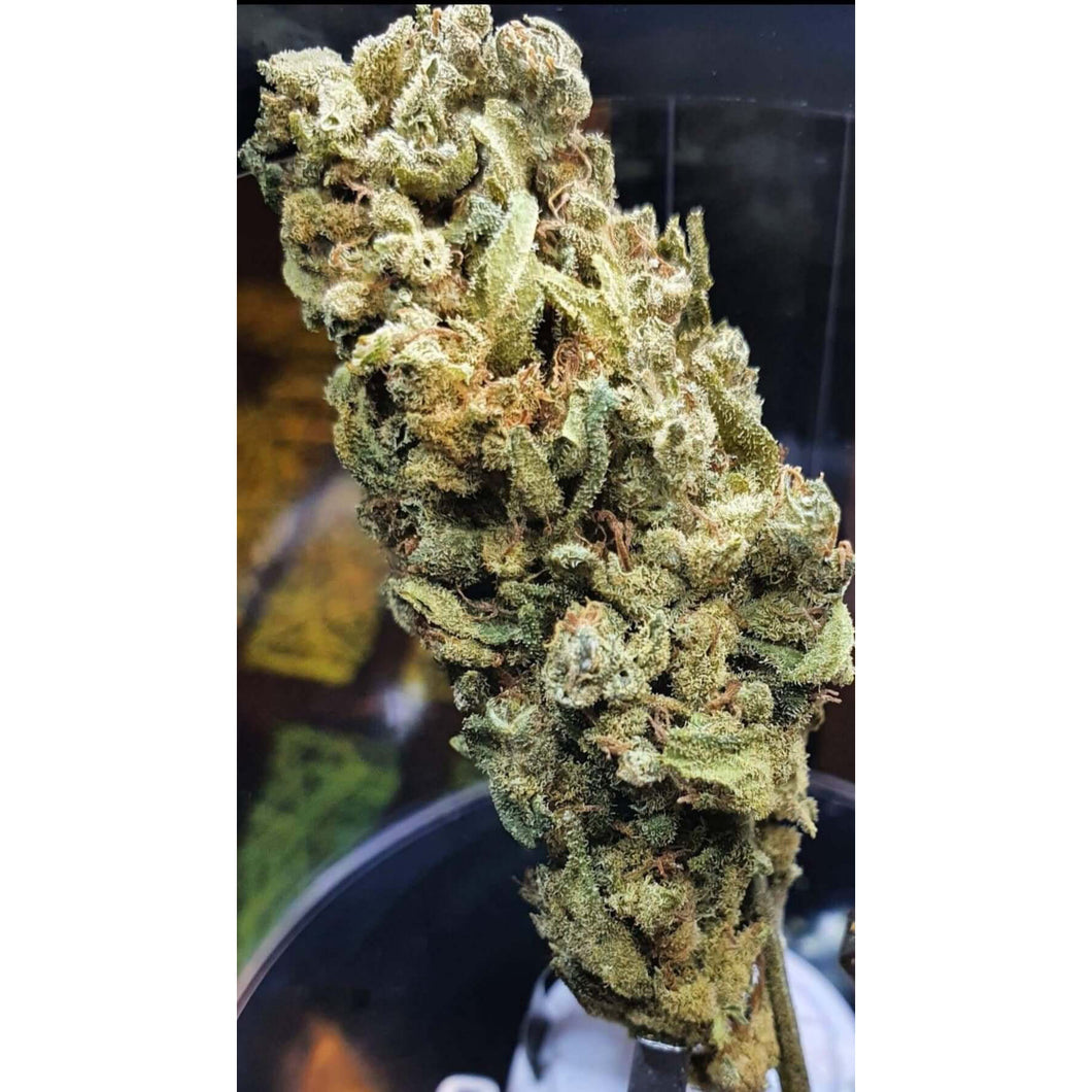BUBBLE GUM – Indoor – (Organic Quality CBD)-Veganja Smoke-Veganja Shop