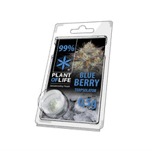 Carica l&#39;immagine nel visualizzatore di Gallery, CBD 99% – Terpsolator (0.5g) – [Diversi Aromi]-Plant Of Life-Veganja Shop
